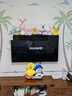 華為Vision智慧屏 5 SE 55英寸 鴻蒙AI搜片MiniLED鴻鵠畫質(zhì)國家補(bǔ)貼MateTV同源投屏平板電視機(jī)HD55KULU 曬單實(shí)拍圖