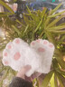 接運貓手工編織貓爪手套 DIY材料包毛線(xiàn)可愛(ài)針織毛絨冬季保暖送女友禮物 【DIY貓爪手套乳白】 包含工具+材料+教程 曬單實(shí)拍圖