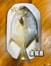翔泰 海南金鯧魚(yú)凈重900g 2條裝  魚(yú)類(lèi)生鮮 火鍋食材 海鮮水產(chǎn)  曬單實(shí)拍圖