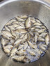 西部風(fēng)老壇甜薯玉米方塊餌料野釣鯉魚(yú)鯽魚(yú)甜香味巨物紅薯拋竿魚(yú)餌 甜薯玉米方塊餌400g 曬單實(shí)拍圖