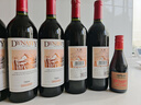 王朝（DYNASTY）【熱門(mén)商品】二代干紅葡萄酒老王朝赤霞珠干紅國產(chǎn)紅酒佐餐宴會(huì ) 【老王朝】6支 曬單實(shí)拍圖