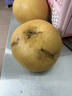 三萌果蔬正宗山東秋月梨 新鮮現摘萊陽(yáng)冰糖梨子水果禮盒節日送禮 【甄選級-大果】單果300-350g 5斤裝【店長(cháng)力薦-80%選擇】?jì)糁?.5斤 曬單實(shí)拍圖