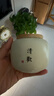 祥業(yè)汝窯防潮茶葉罐精品高檔儲存罐小號便攜茶罐密封罐迷你陶瓷茶葉盒 吉祥+如意+鴻運+清歡+平安+喜樂(lè ) 曬單實(shí)拍圖