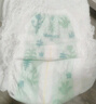 好奇森林密語(yǔ)紙尿褲夏季透氣超薄干爽尿不濕小森林系列成長(cháng)褲拉拉褲 紙尿褲XL30*2包 曬單實(shí)拍圖