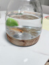 茯見(jiàn)桌面魚(yú)缸玻璃小型家用客廳辦公桌金魚(yú)斗魚(yú)烏龜適用一體生態(tài)缸 【大號】木底座玻璃魚(yú)缸 有底座 曬單實(shí)拍圖