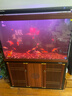 森森魚(yú)缸客廳屏風(fēng)水草缸大型超白玻璃水族箱客廳復古底濾免換水龍魚(yú)缸 靠墻款120長(cháng)34.5寬83缸高74柜高 曬單實(shí)拍圖