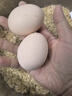 京喜加土雞蛋 新鮮雞蛋山林自養 生鮮溏心蛋 鹵蛋早餐京東買(mǎi)菜40g正負5g 6枚裝總重240g+ 曬單實(shí)拍圖