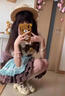 閃動(dòng)少女（SHANDONGSHAONV）薄巧色狗短Lolita甜美可愛(ài)托胸jsk洛麗塔lo春夏少女公主裙 馬甲+裙子+襯衫+蝴蝶結+拖尾 M 曬單實(shí)拍圖