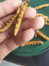 阿依舍冬蟲(chóng)夏草約3-4根/g20克約70根禮盒送長(cháng)輩補品禮品 曬單實(shí)拍圖