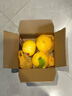 京鮮生 福建黃金葡萄柚3斤裝 單果300g起 生鮮水果柚子 源頭直發(fā)包郵 曬單實(shí)拍圖