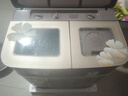 揚子半自動(dòng)洗衣機大容量家用雙桶雙缸老式洗衣機脫水雙筒 波輪半自動(dòng)【6.2公斤】玻璃面板 曬單實(shí)拍圖