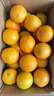京覓江西贛南臍橙 9斤凈重橙子大果170g起紐荷爾甜橙新鮮水果源頭直發(fā) 曬單實(shí)拍圖