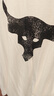 安德瑪（UNDERARMOUR）UA春夏Project Rock強森男子運動(dòng)休閑短袖T恤1361733 乳白色131 2XL 曬單實(shí)拍圖