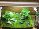 森森 超白玻璃小型熱彎水草魚(yú)缸HRK-600套缸+過(guò)濾器+水草燈 曬單實(shí)拍圖