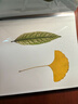 佐之尋植物標本收集冊樹(shù)葉塑封膜干花葉子收納diy自制覆膜相冊?shī)A兒童節生日禮物禮品 【彩卉植集】 30頁(yè)(60面)【自帶冷封膜】 曬單實(shí)拍圖