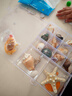 天然海螺貝殼套餐 標本螺海星禮盒海洋生物科普幼兒園科教擺件 套餐七 曬單實(shí)拍圖