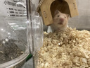 比克熊 凍干全價(jià)倉鼠糧金絲熊主糧口糧自配飼料面包蟲(chóng)干500g 曬單實(shí)拍圖