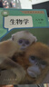 2026新改版八年級下冊生物人教版新版八年級下冊地理人教版新版 八下生物新版  八下地理新版 八年級下冊新版-生物 曬單實拍圖