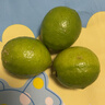 【東東農場(chǎng)專(zhuān)供】新鮮采摘青檸檬 3粒-單果【80克+】 曬單實(shí)拍圖