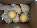 優(yōu)味集進(jìn)口新奇士檸檬【JD順豐現貨速發(fā)】新鮮南非黃檸檬生鮮水果整箱 2斤 商超級大果（單果120g+） 曬單實(shí)拍圖