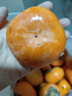 京鮮生 陽(yáng)豐脆甜柿 凈重8.5-9斤單果100g+ 水果源頭直發(fā) 包郵 曬單實(shí)拍圖