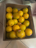 褚橙 云南冰糖橙  優(yōu)級果 L 10斤裝 單果約130g起 生鮮水果禮盒 曬單實(shí)拍圖