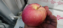 阿克蘇蘋(píng)果新疆阿克蘇冰糖心蘋(píng)果新鮮時(shí)令水果禮盒紅富士丑蘋(píng)果源頭直發(fā)包郵 10斤特級果70-85mm凈重8.5-9斤 曬單實(shí)拍圖