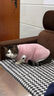 TMJD MISS貓咪衣服保暖秋冬季布偶貓背心絨衣寵物小型犬狗狗小貓幼貓防掉毛 粉色高品質(zhì)兔毛絨S碼【3-4斤內】 曬單實(shí)拍圖