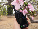 盛拓 MTP860掌中寶對講機全國通免續(xù)費公網集群5000公里不限距離4G插卡戶外車隊自駕民用手臺 一年免年費掌中寶 曬單實拍圖