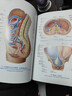 人體解剖彩色圖譜第三版 3版全彩人衛奈特系統解剖學(xué)人體肌肉骨骼結構書(shū)3d尸檢解刨學(xué)法醫學(xué)類(lèi)書(shū)籍教材人民衛生出版社 曬單實(shí)拍圖