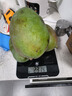三亞芒果  海南芒果新鮮水果生鮮整箱當季大青皮芒 熱帶孕婦芒果 5斤裝(凈果4.5斤)單果200-500g+ 曬單實(shí)拍圖