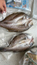 海鼎紀三去海鱸魚(yú)2條裝共800g 開(kāi)背鱸魚(yú)生鮮魚(yú)類(lèi) 海鮮水產(chǎn)夜宵食材 曬單實(shí)拍圖