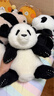 熊貓工廠(chǎng)官方5月齡萌蘭仿真熊貓基地可愛(ài)玩偶抱枕節日生日禮物毛絨玩具 5月齡萌蘭 長(cháng)35*寬35*高38 曬單實(shí)拍圖