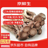 京鮮生云南鹿茸菇干貨凈重1斤 當(dāng)季新貨脆嫩爽口火鍋煲湯小炒源頭直發(fā) 曬單實(shí)拍圖