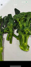云南新鮮水果清芹芽可生吃的芹菜當季現采現發(fā)新鮮網(wǎng)紅菜綠色青菜 500g 曬單實(shí)拍圖