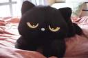 JANEOSTIN黑色貓咪玩偶睡覺(jué)抱枕女孩布娃娃毛絨玩具抱睡公仔大號生日禮物女 YXZ趴貓公仔(圓眼黑貓） 60厘米 曬單實(shí)拍圖