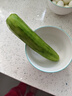 山東壽光水果黃瓜生吃脆新鮮荷蘭青瓜當季無(wú)刺小黃瓜源頭直發(fā) 精品水果黃瓜 2斤 曬單實(shí)拍圖
