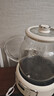 七彩叮當全玻璃煮茶壺養生壺燒水壺恒溫水壺 燉煮壺一體全自動(dòng)1.2L辦公室內0膠水燒水壺 QC-YSH06-標準款 曬單實(shí)拍圖