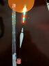 小鳳仙一體夜光漂L-DG2-2淺水電子漂日夜兩用夜釣浮漂高靈敏魚(yú)漂不變色 曬單實(shí)拍圖