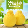 【梅州金柚之鄉】當季沙田白蜜柚果肉飽滿(mǎn) 純甜無(wú)酸 老少孕婦皆宜 沙田蜜柚帶箱10斤（多個(gè)裝） 曬單實(shí)拍圖
