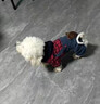 阿莫爾狗狗衣服秋冬可愛(ài)背帶四腳衣泰迪比熊博美冬天保暖貓咪衣服防掉毛 小熊背帶四腳衣 XS(建議1-3斤具體參考胸圍背長(cháng)) 曬單實(shí)拍圖