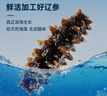 鮮京采大連即食海參 1斤 10-16只 固形物75% 京東自營(yíng) 海鮮 曬單實(shí)拍圖