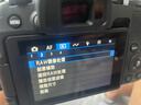 佳能（Canon）EOS R8 全畫(huà)幅微單數碼相機 單機身（約2420萬(wàn)像素/小型輕量） 曬單實(shí)拍圖
