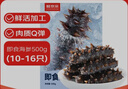 鮮京采大連即食海參 1斤 10-16只 固形物75% 京東自營(yíng) 海鮮 曬單實(shí)拍圖