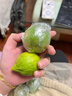 廣東香水檸檬新鮮檸檬奶茶店專(zhuān)用香水檸檬水果產(chǎn)地源頭直發(fā) （帶箱1斤）香水檸檬單果70g起 曬單實(shí)拍圖