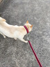 颯望德國狗狗牽引繩防丟伸縮中大型犬金毛狗繩子防咬斷拉布拉多狗鏈子 紅黑  一套加長(cháng)款1.5m【八股編織I防斷耐用】 XL（建議體重100斤以?xún)龋?曬單實(shí)拍圖