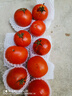 新鮮沙瓤西紅柿自然成熟現摘現發(fā)番茄下蔬菜生鮮減肥單果80g+ 新鮮西紅柿 3斤 凈重 曬單實(shí)拍圖