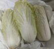 云南高原娃娃菜新鮮蔬菜生鮮乾隆白菜早餐火鍋必備產(chǎn)地直發(fā) 淺黃色 新鮮娃娃菜3顆裝*1包 曬單實(shí)拍圖