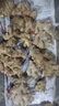 產(chǎn)地直發(fā)云南小黃姜新鮮生姜黃姜調味料新鮮蔬菜生鮮 3斤 裝 曬單實(shí)拍圖