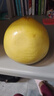 福建平和老樹(shù)紅柚 新鮮現摘 皮薄肉厚多汁 蜜柚柚子 1-1.5斤（嘗鮮） 曬單實(shí)拍圖